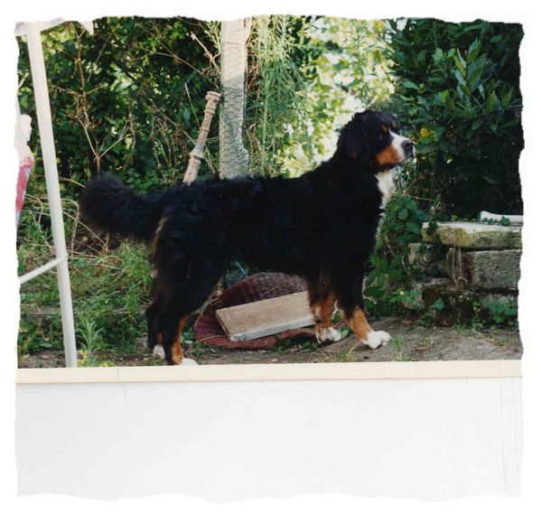 Lara du hameau des baronnies