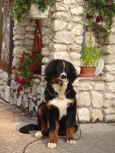 Ecko du hameau des baronnies