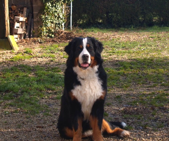 Fifty-fifty funatic du hameau des baronnies